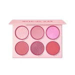 رژگونه پالتی شیگلم